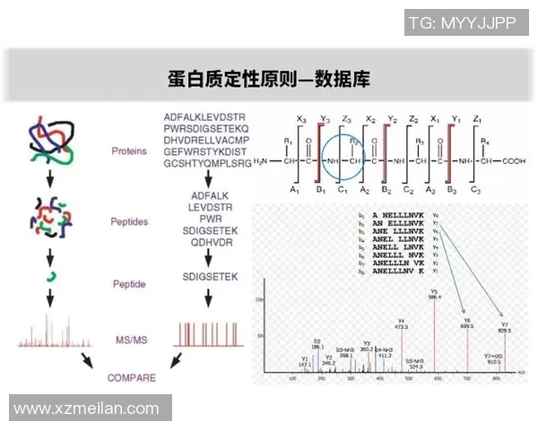 深圳乒乓球队速度表现数据分析揭示训练效果与比赛策略的关系